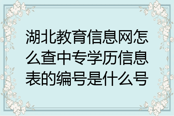 湖北教育信息网怎么查中专学历信息表的编号是什么号