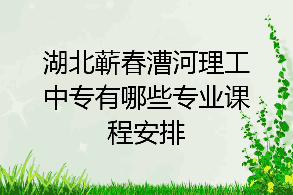 湖北蕲春漕河理工中专有哪些专业课程安排