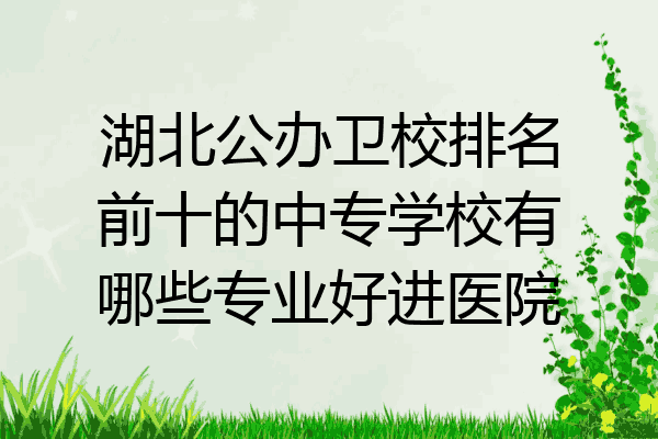 湖北公办卫校排名前十的中专学校有哪些专业好进医院