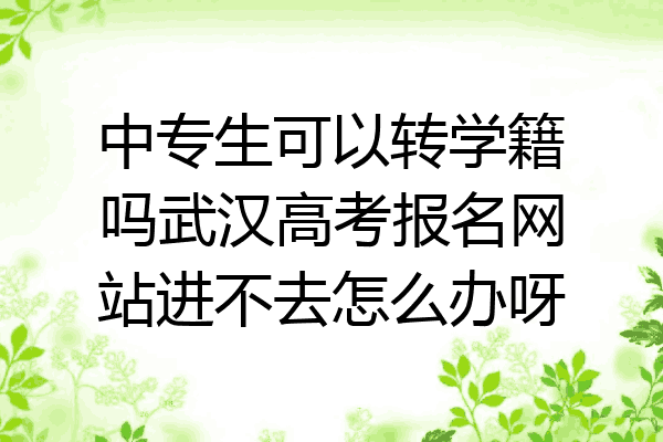 中专生可以转学籍吗武汉高考报名网站进不去怎么办呀