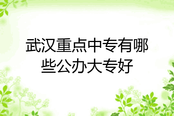 武汉重点中专有哪些公办大专好