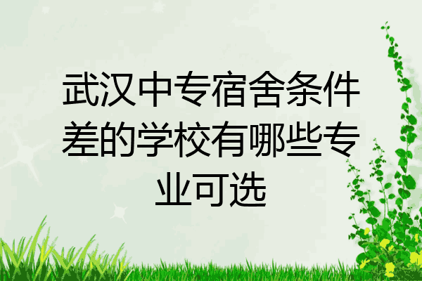 武汉中专宿舍条件差的学校有哪些专业可选