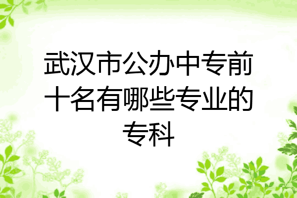 武汉市公办中专前十名有哪些专业的专科