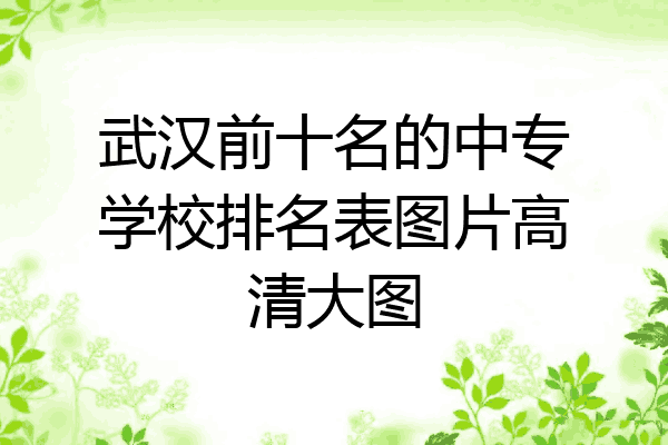 武汉前十名的中专学校排名表图片高清大图