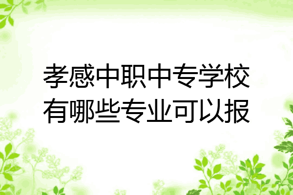 孝感中职中专学校有哪些专业可以报