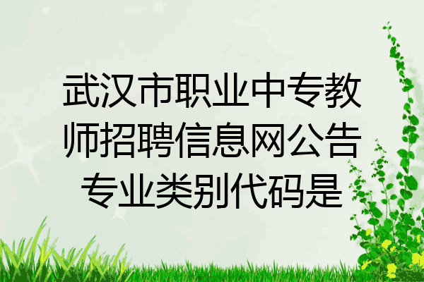 武汉市职业中专教师招聘信息网公告专业类别代码是
