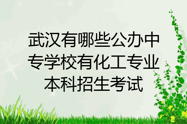 武汉有哪些公办中专学校有化工专业本科招生考试