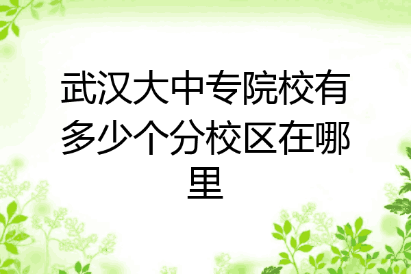 武汉大中专院校有多少个分校区在哪里