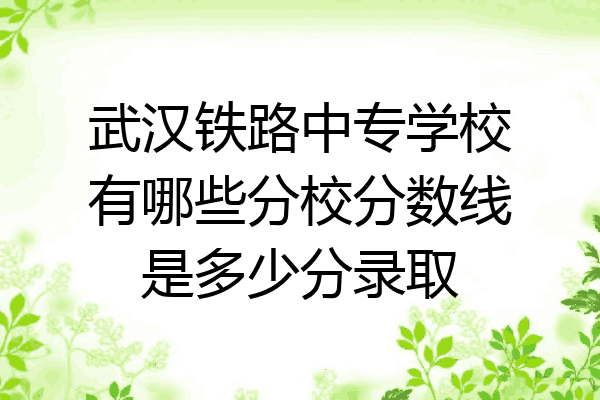 武汉铁路中专学校有哪些分校分数线是多少分录取