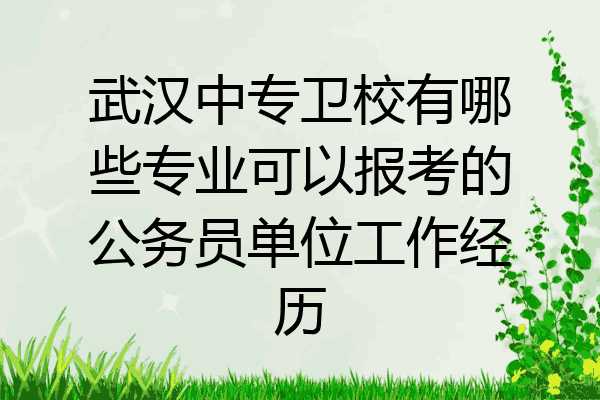 武汉中专卫校有哪些专业可以报考的公务员单位工作经历