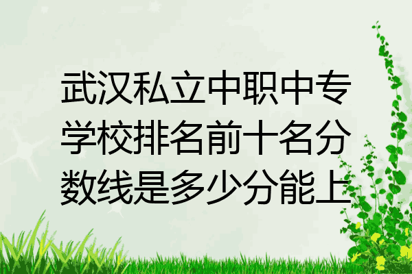 武汉私立中职中专学校排名前十名分数线是多少分能上