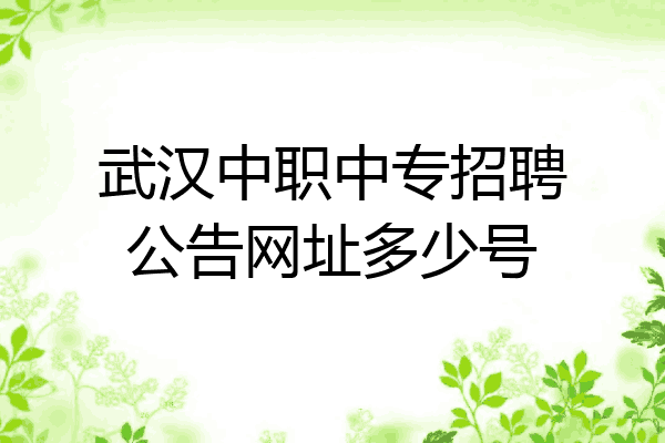 武汉中职中专招聘公告网址多少号