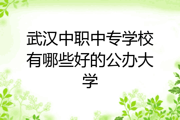 武汉中职中专学校有哪些好的公办大学