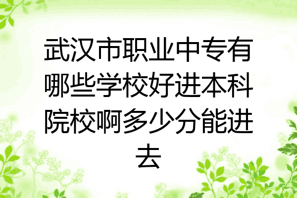 武汉市职业中专有哪些学校好进本科院校啊多少分能进去
