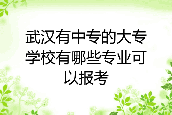 武汉有中专的大专学校有哪些专业可以报考