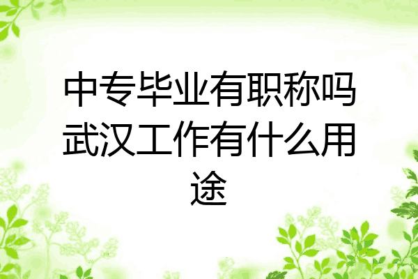 中专毕业有职称吗武汉工作有什么用途