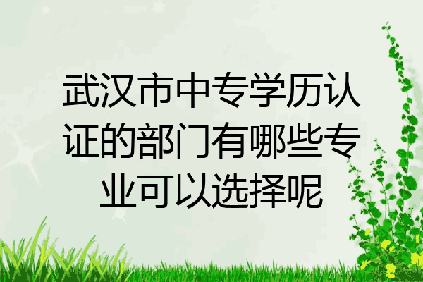 武汉市中专学历认证的部门有哪些专业可以选择呢
