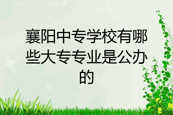 襄阳中专学校有哪些大专专业是公办的