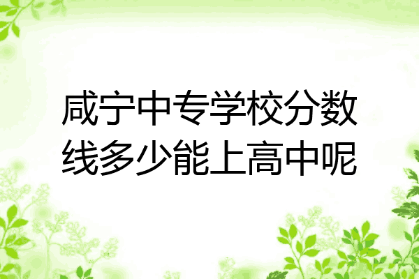 咸宁中专学校分数线多少能上高中呢
