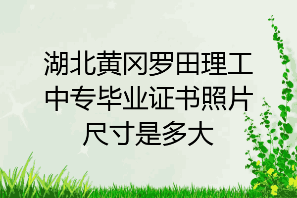 湖北黄冈罗田理工中专毕业证书照片尺寸是多大