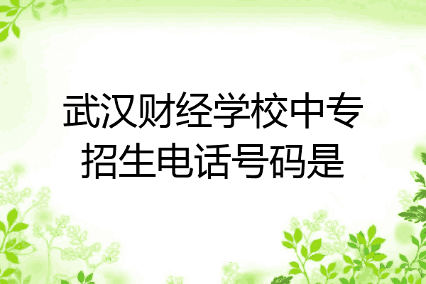武汉财经学校中专招生电话号码是