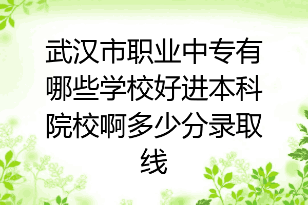 武汉市职业中专有哪些学校好进本科院校啊多少分录取线