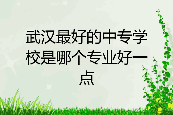 武汉最好的中专学校是哪个专业好一点