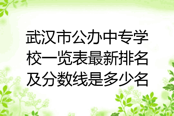 武汉市公办中专学校一览表最新排名及分数线是多少名
