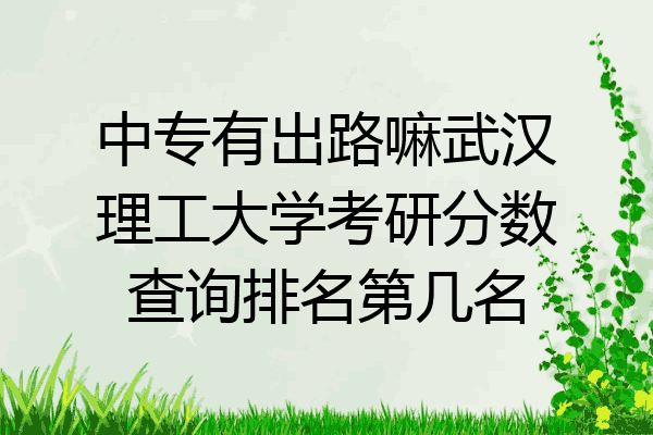 中专有出路嘛武汉理工大学考研分数查询排名第几名