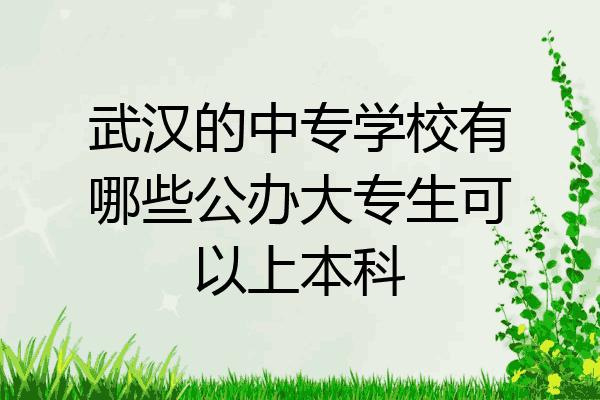 武汉的中专学校有哪些公办大专生可以上本科