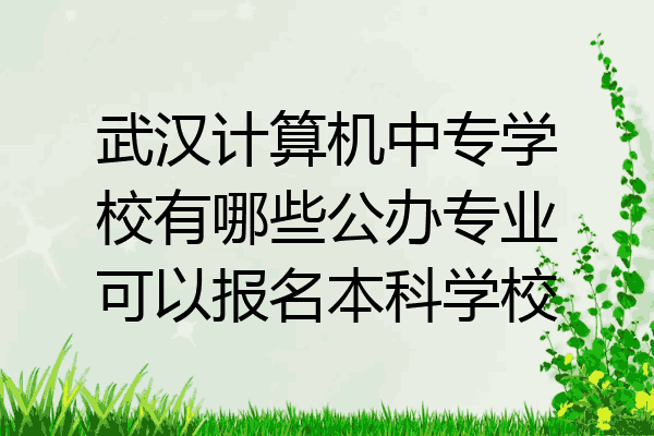 武汉计算机中专学校有哪些公办专业可以报名本科学校