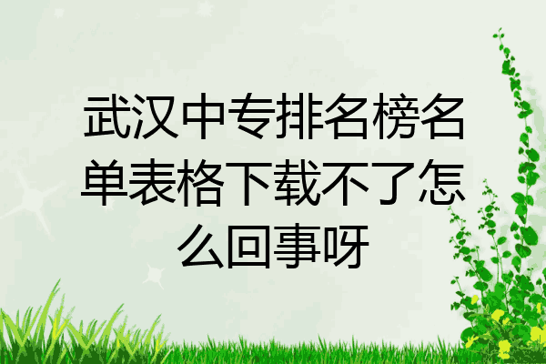 武汉中专排名榜名单表格下载不了怎么回事呀