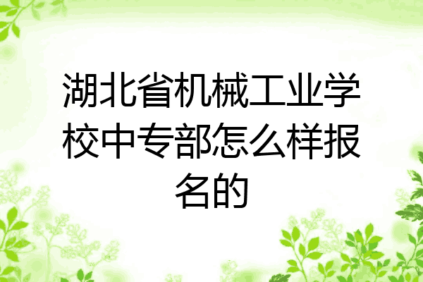 湖北省机械工业学校中专部怎么样报名的