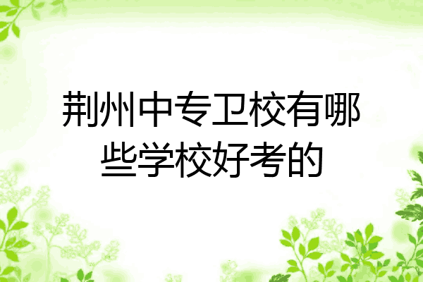 荆州中专卫校有哪些学校好考的