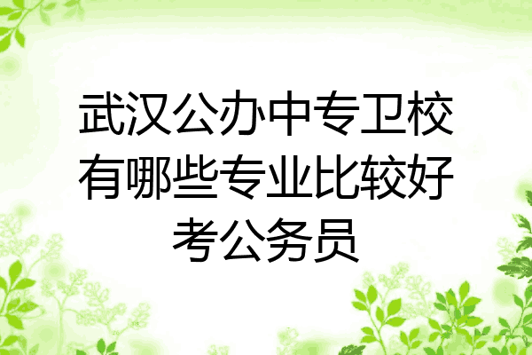 武汉公办中专卫校有哪些专业比较好考公务员