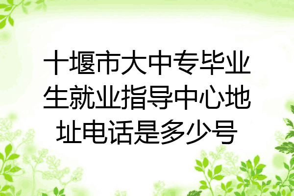 十堰市大中专毕业生就业指导中心地址电话是多少号