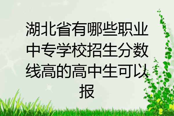 湖北省有哪些职业中专学校招生分数线高的高中生可以报