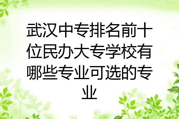 武汉中专排名前十位民办大专学校有哪些专业可选的专业