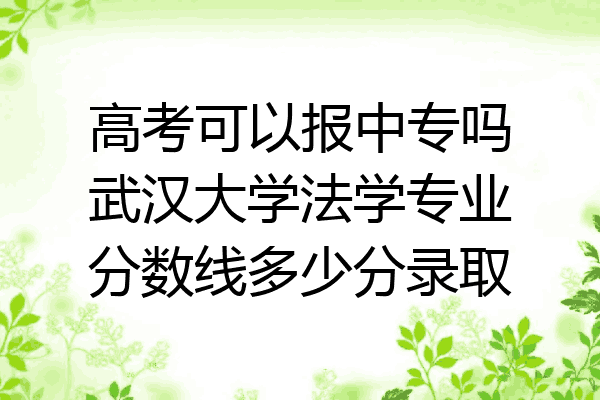 高考可以报中专吗武汉大学法学专业分数线多少分录取