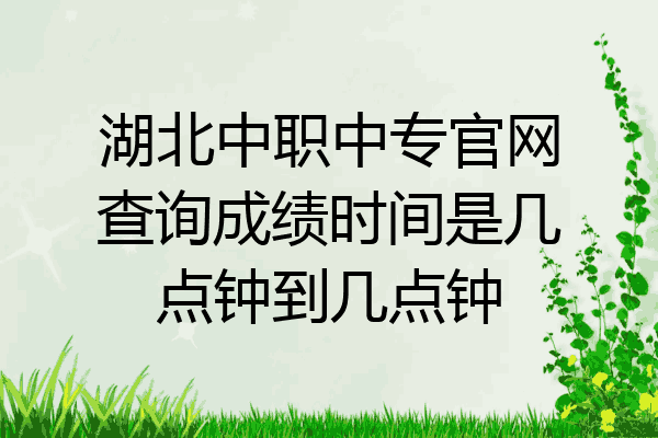 湖北中职中专官网查询成绩时间是几点钟到几点钟