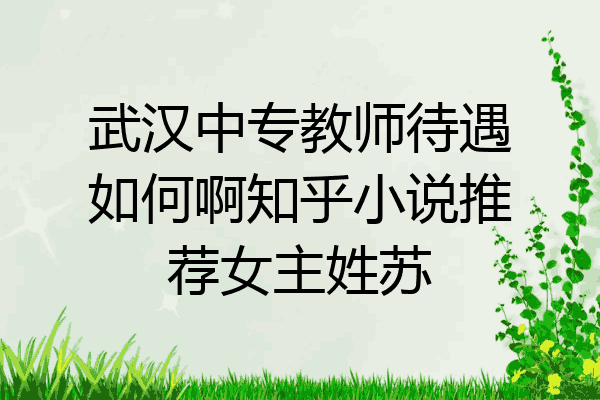武汉中专教师待遇如何啊知乎小说推荐女主姓苏