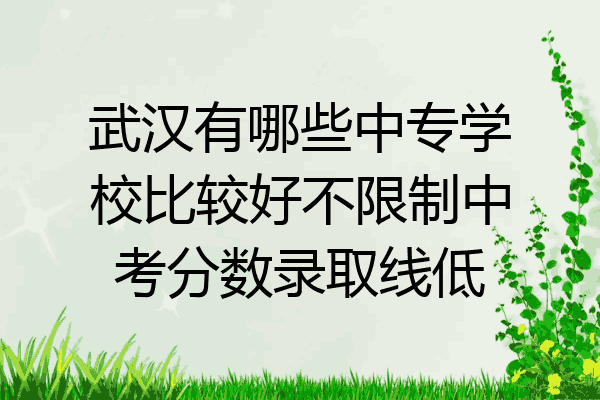 武汉有哪些中专学校比较好不限制中考分数录取线低