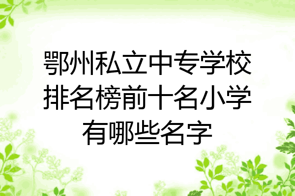 鄂州私立中专学校排名榜前十名小学有哪些名字