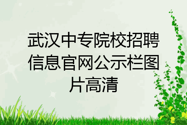 武汉中专院校招聘信息官网公示栏图片高清