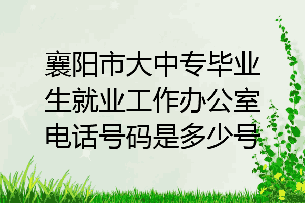 襄阳市大中专毕业生就业工作办公室电话号码是多少号