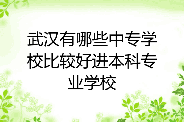 武汉有哪些中专学校比较好进本科专业学校