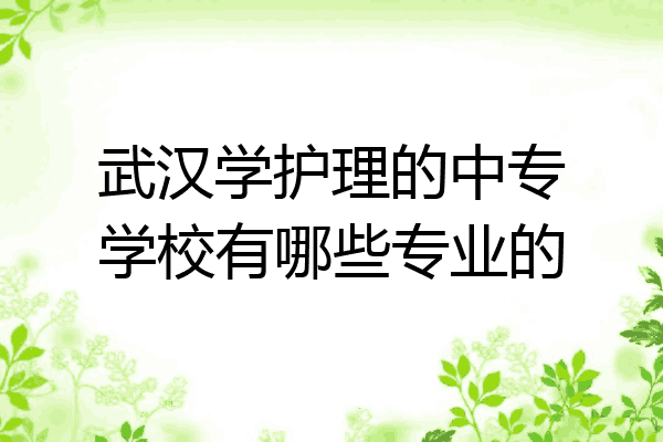 武汉学护理的中专学校有哪些专业的