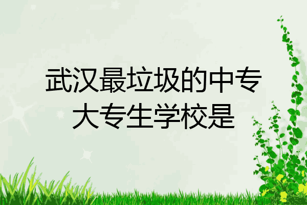 武汉最垃圾的中专大专生学校是