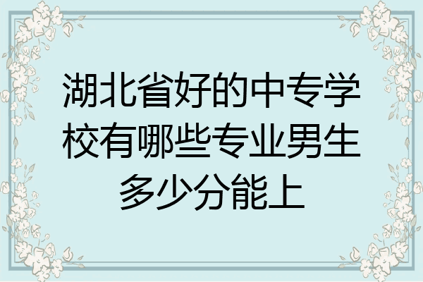 湖北省好的中专学校有哪些专业男生多少分能上