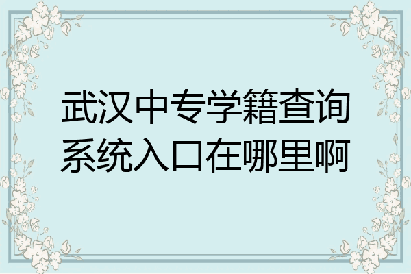 武汉中专学籍查询系统入口在哪里啊